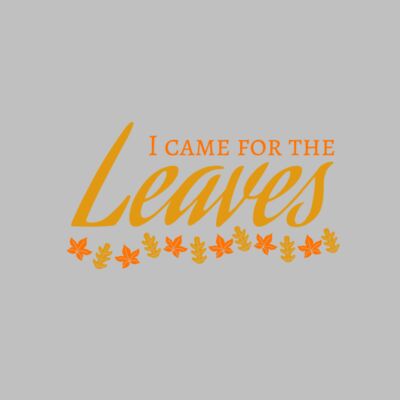 Fall Season 28 Thumbnail