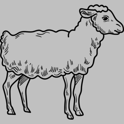 Lamb   Clipart 3 Thumbnail