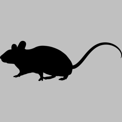 Mouse   Clipart 1 Thumbnail
