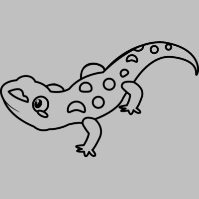 Newt   Clipart 2 Thumbnail
