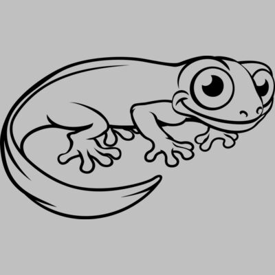 Newt   Clipart 3 Thumbnail