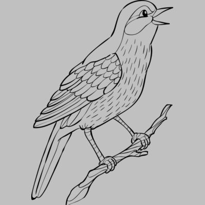 Nightingale   Clipart 2 Thumbnail