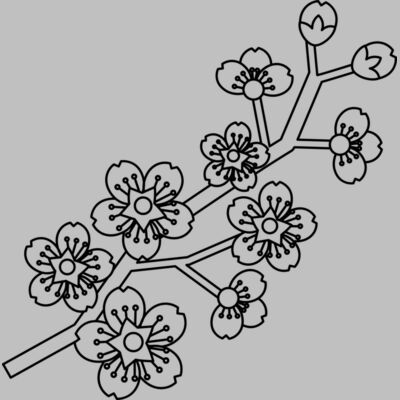 Cherry Blossom Branch Thumbnail