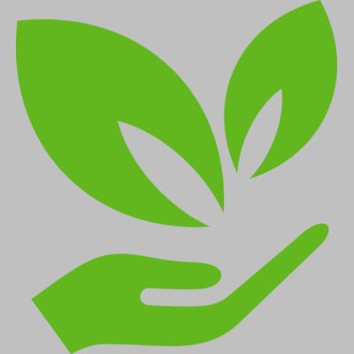 51 Leaves in hands Thumbnail