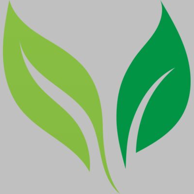 Leaves Thumbnail