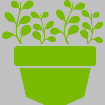 Succulent Plant 3 Thumbnail