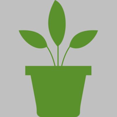 Plant 2 Thumbnail