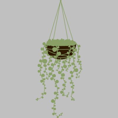 Hanging Plants 3 Thumbnail