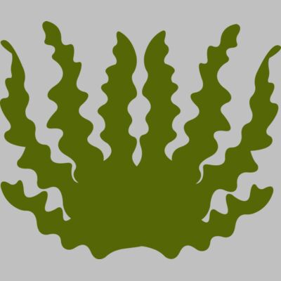 Sea Plant 2 Thumbnail