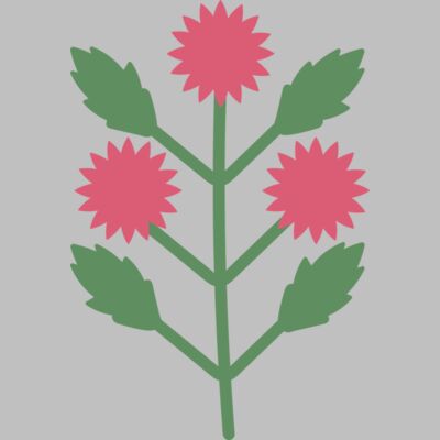 Flowers 4 Thumbnail