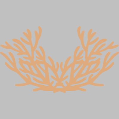 Sea Plants Thumbnail