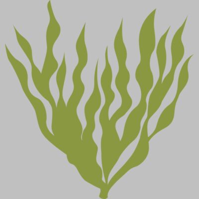 Sea Plants 5 Thumbnail