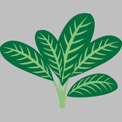 Plants 7 Thumbnail