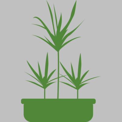Plants 5 Thumbnail