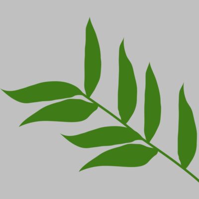 Leaves 5 Thumbnail