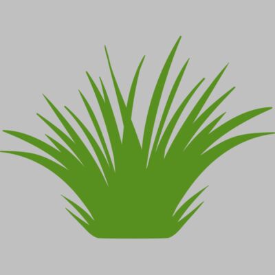 Grass 2 Thumbnail