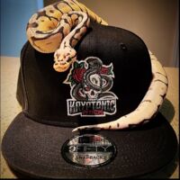 IMG_20221113_152016.jpg Thumbnail